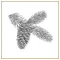 Eva-Vasari-carolineseidler-com-Weihnachtskarte