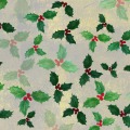 stefanie-hilgarth-carolineseidler-klassischeweihnachten