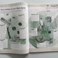 Blagovesta-Bakardjieva-carolineseidler.com-Pragmaticus-Loesungswege-Geld