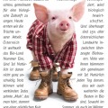3ba_20jahre_az_a4_genussschwein
