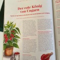 Kerstin-Luttenfeldner-carolineseidlercom-Radatz-schmeckt-5