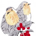 sarah-egbert-carolineseidler-com_robin-1