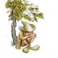 005-alex-nemec-carolineseidler.com-verlagshaushernals