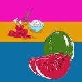 041-karim-blanc-carolineseidler.com-watermeloncurry