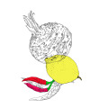027-karim-blanc-carolineseidler.com-Condiment