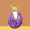 030-karim-blanc-carolineseidler.com-GoatCabbage