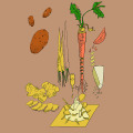 036-karim-blanc-carolineseidler.com-Rootsveggies