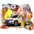 6763_blagovesta_bakardjieva_carolineseidler.com-SUZUKI