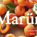 112-bernhard-angerer-carolineseidler-com_kampagne2016_marillen