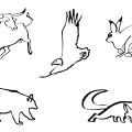 icons_tiere1