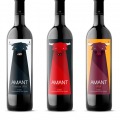 122_nicolas-aznaraez_carolineseidler-amant_-com_