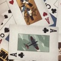Nicolas-Aznarez-carolineseidlercom-cards