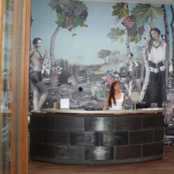 Ausstellungen / Wandgestaltung